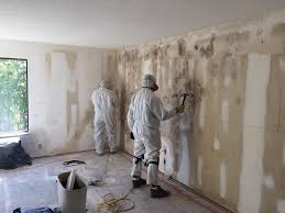 Why You Should Choose Our Mold Remediation Services in Salida, CO